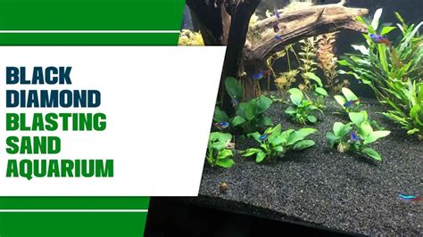 Black Diamond Blasting Sand Aquarium: Expert Tips For Success – MeekBond