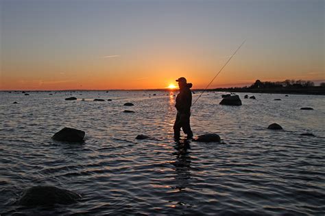 Photos | Fishing Guide Denmark