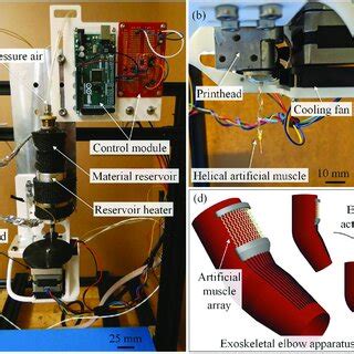 (a) Artificial muscle extrusion system. (b) Extrusion system printhead... | Download Scientific ...