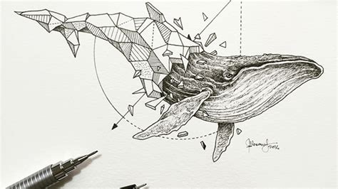 Artist Pairs Wildlife With Geometry to Create Stunning, Lively Drawings ...