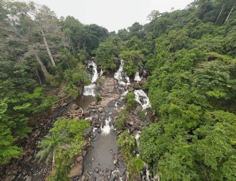 Discover Nature and Wildlife in Liberia - Liberia Tourism