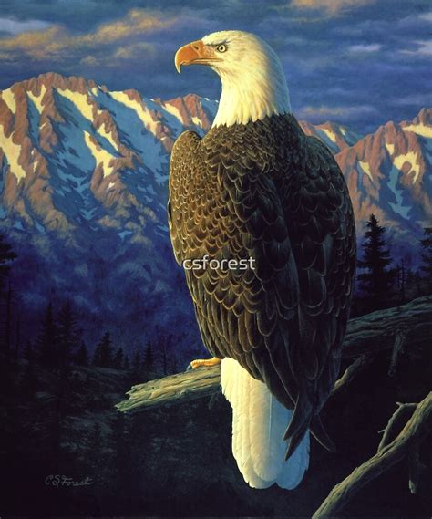 "Morning Quest - Bald Eagle Oil Painting" by csforest | Redbubble