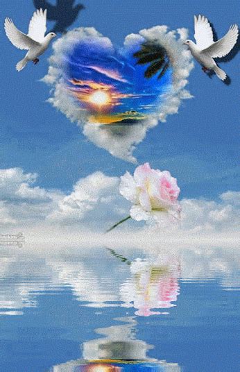 Beautiful Love Pictures, Beautiful Gif, Beautiful Roses, Dove Images, Dove Pictures, Jesus ...