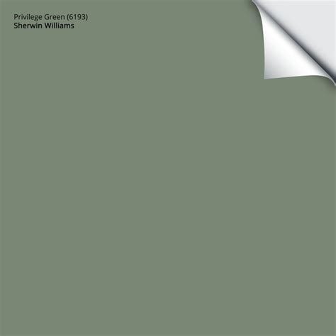 Sherwin Williams Privilege Green (6193) – Samplize | Green grey paint ...