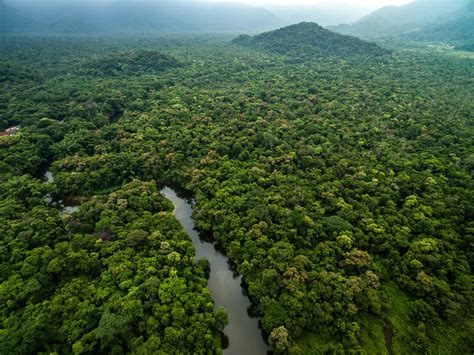 Colombia's Amazon Rainforest & Canyons - 7 Days | kimkim