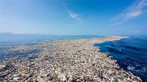 Ancaman Sampah Plastik untuk Ekosistem Laut Harus Segera Dihentikan, Bagaimana Caranya ...