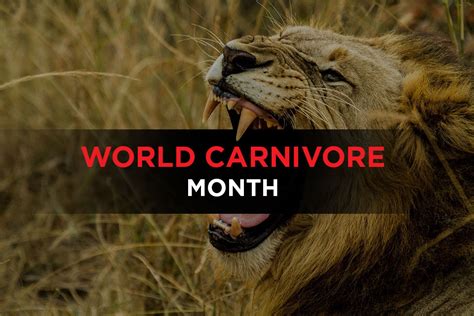 World Carnivore Month: Everything You Need to know