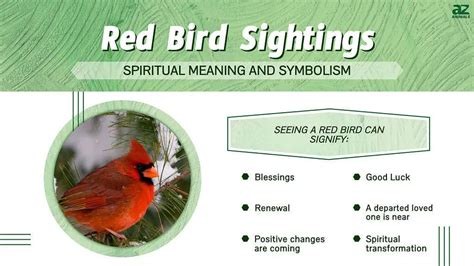 What is the symbolism for bird?