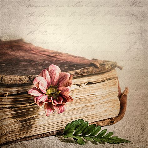 The old book | Book photography, Book flowers, Old books