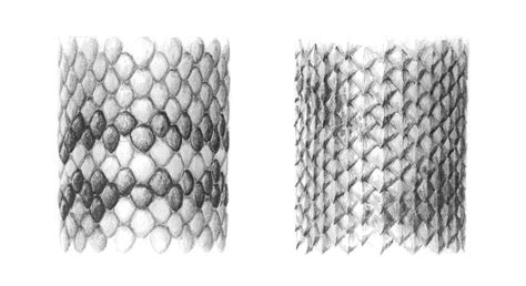 how to draw snake lizard scales | Тату сакральная геометрия, Текстуры, Нарисовать губы