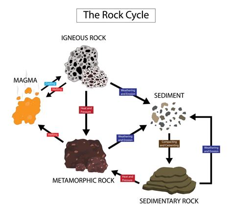 Sedimentary Rock Diagram For Kids