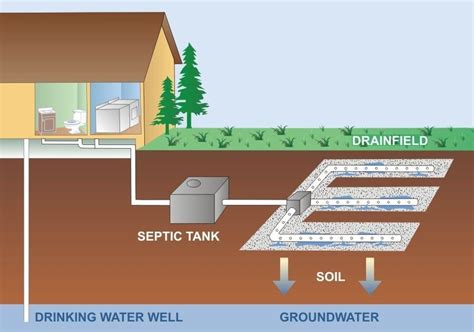 Action Plumbing | Septic 101: Getting to Know Your Septic Tank