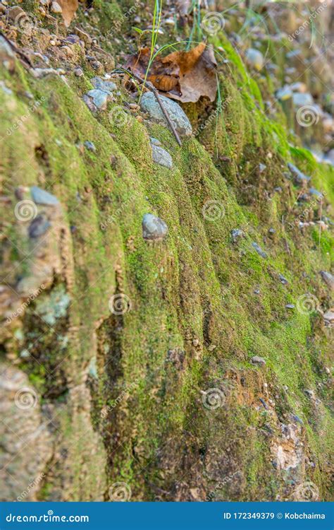 Background of soil layers stock image. Image of layer - 172349379