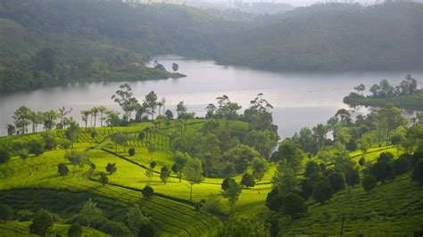 Top 20 Munnar, Devikolam resort rentals from $31/night | Vrbo