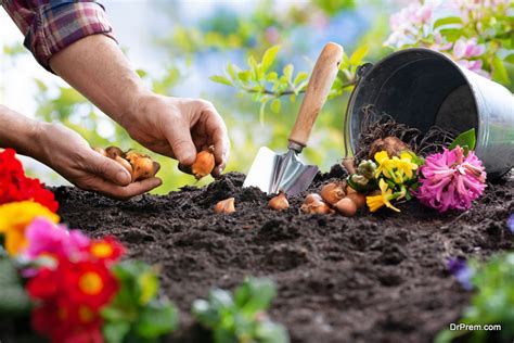 planting flowers - Green Diary - A comprehensive guide to sustainable ...