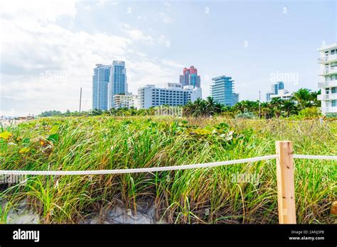 High-rise Buildings in Miami Beach, Florida Stock Photo - Alamy