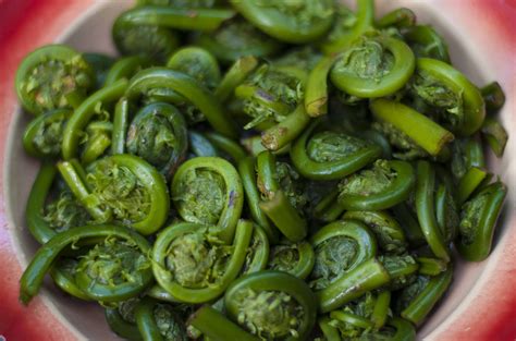 Farmers Market Kitchen: Grilled Fiddleheads | Bite Club