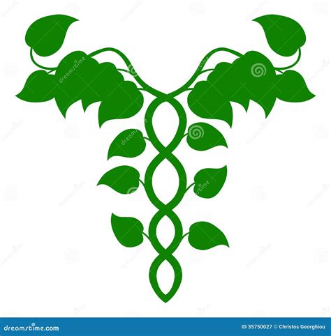 Holistic Medicine Sign And Ayurveda Logo Illustration Cartoon Vector ...