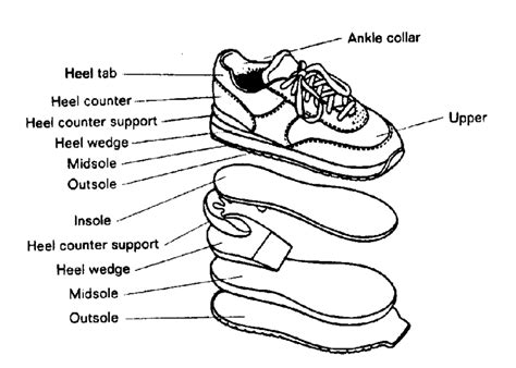 Labeled Parts Of A Shoe