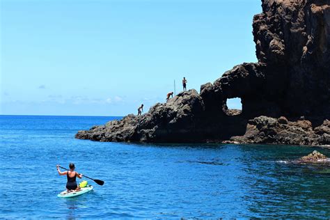 Close-up marine encounters and rare birdlife: why St Helena is a ...