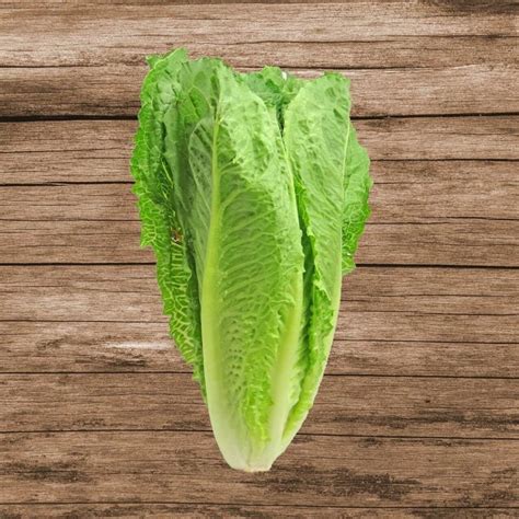 Romaine Lettuce Seeds, Grand Romaine, Vegetable Seeds#031 – Rooted Retreat