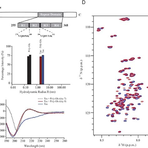 Structural properties of the protein Tau. (a) Schematic representation ...