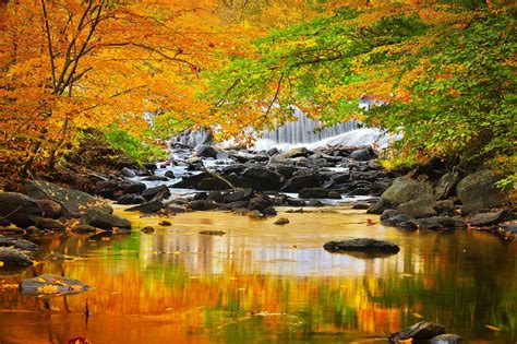 A Season of Change : Catoctin Mountain, Maryland : Bernard Chen Photography