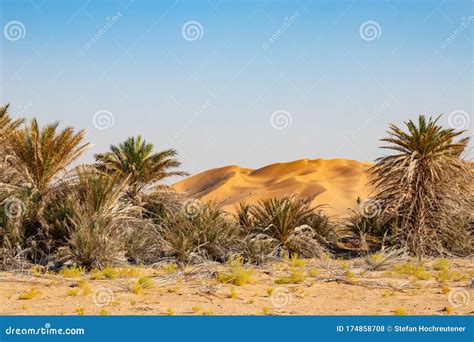 Oasis in the Desert of Rub Al Khali or Empty Quarter Stock Photo ...