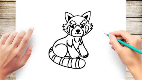 How to Draw Red Panda Easy - YouTube