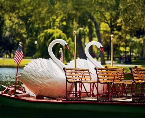 Boston Swan Boats | Back in the Paddle - New England Today