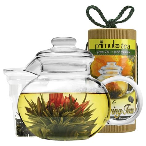 Best Buy: Primula Flowering Tea Gift Set Clear HWPL4002