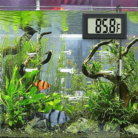 10 Best Aquarium Thermometers - aquariumdimensions