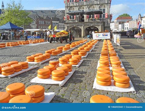 Rows of Vivid Yellow Cheese Wheel at the Gouda Cheese Market, Famous ...