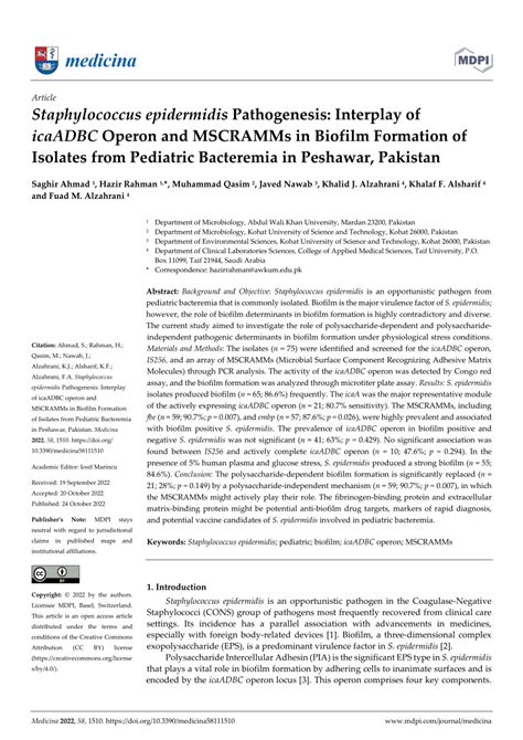 (PDF) Staphylococcus epidermidis Pathogenesis: Interplay of icaADBC Operon and MSCRAMMs in ...