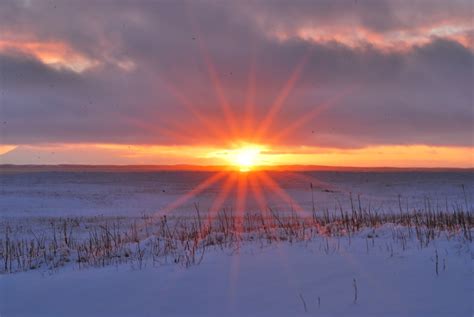 Winter Solstice For … - Cleo Mellie