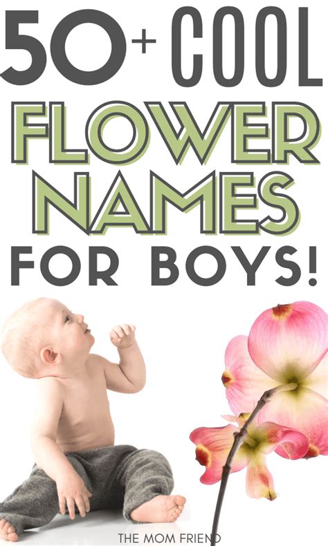 Baby Girl Names Meaning Rose Flower | Best Flower Site