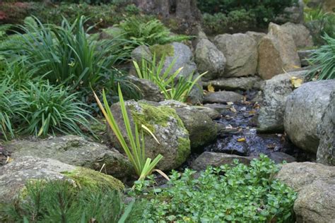 A Green and Rosie Life: Lafcadio Hearn Japanese Gardens, Tramore, Waterford