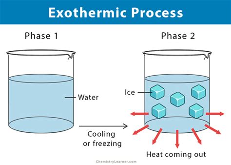 Exothermic Reaction: Definition, Equation, and Examples