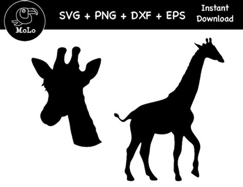 Giraffe 01 Silhouette Giraffe Clipart Black Giraffe Svg EPS | Etsy