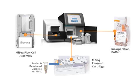 DNA SEQUENCING: ILLUMINA WORKFLOW PART-3 (LIBRARY, 51% OFF