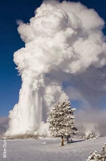 Old Faithful Erupting, Winter in Yellowstone National Park, Wyoming