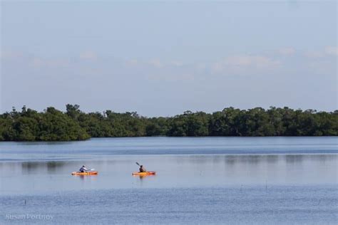 The Ultimate Guide: Visit Ding Darling Wildlife Refuge on Sanibel Island