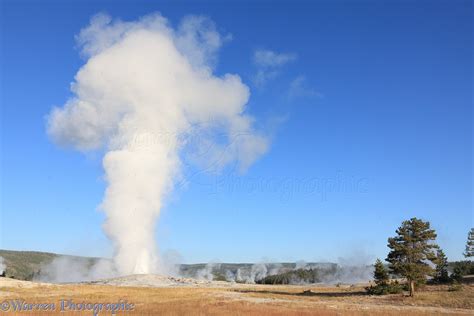 Old Faithful geyser photo WP35775