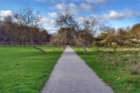 Straight path stock image. Image of natural, meadows, transportation ...