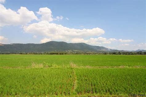 Cibao Valley (Dominican Republic, Caribbean): Top Tips Before You Go ...