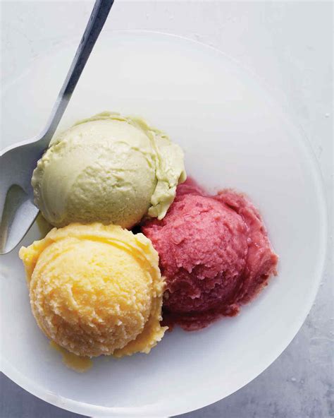 Homemade Ice Cream, Sorbet, and Gelato Recipes | Martha Stewart