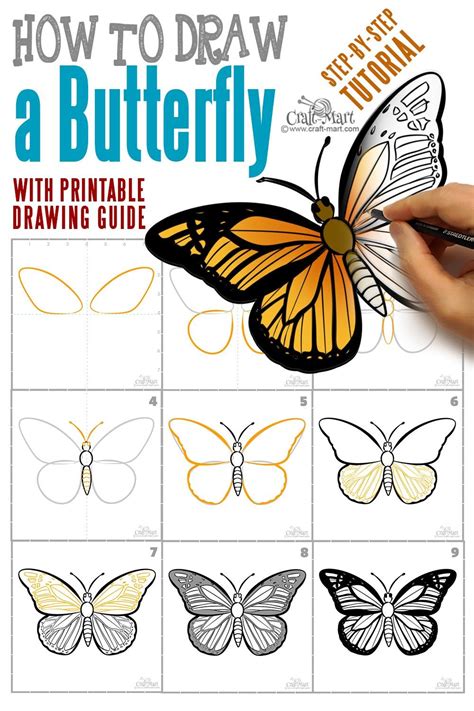 How to draw a butterfly step by step easy and fast | Butterfly art drawing, Butterfly drawing ...
