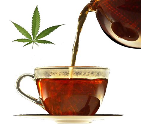 Marijuana World News – How To Make Marijuana Tea