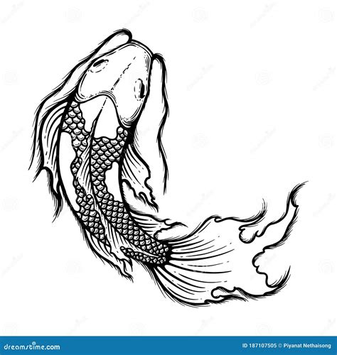 Hand Drawn Outline Koi Fish Vector Illustration, Tattoo Design, Japan ...