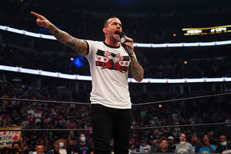 CM Punk Posts A Video Of A Very Patriotic Cody Rhodes, New AEW Action ...